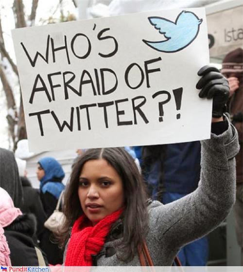 Who is afraid of Twitter? or How can the Internet shape collective actions